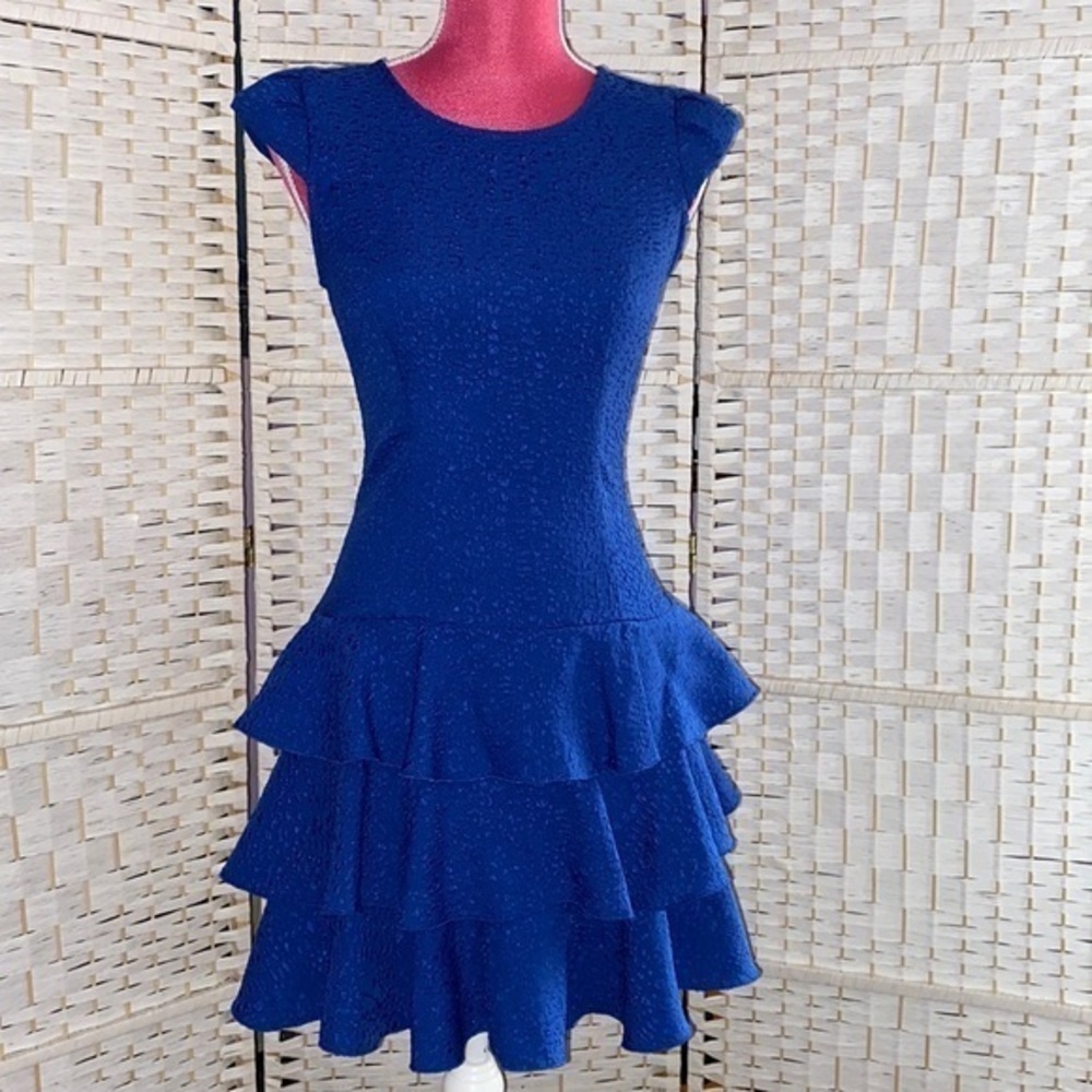 Rachel Zoe Ginta Drop Waist Ruffle Dress size 2 NWT MSRP $275